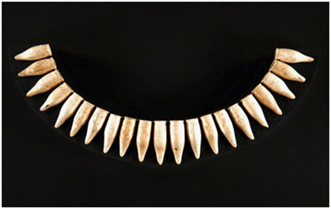 Neck pendants – reel and tooth ornaments